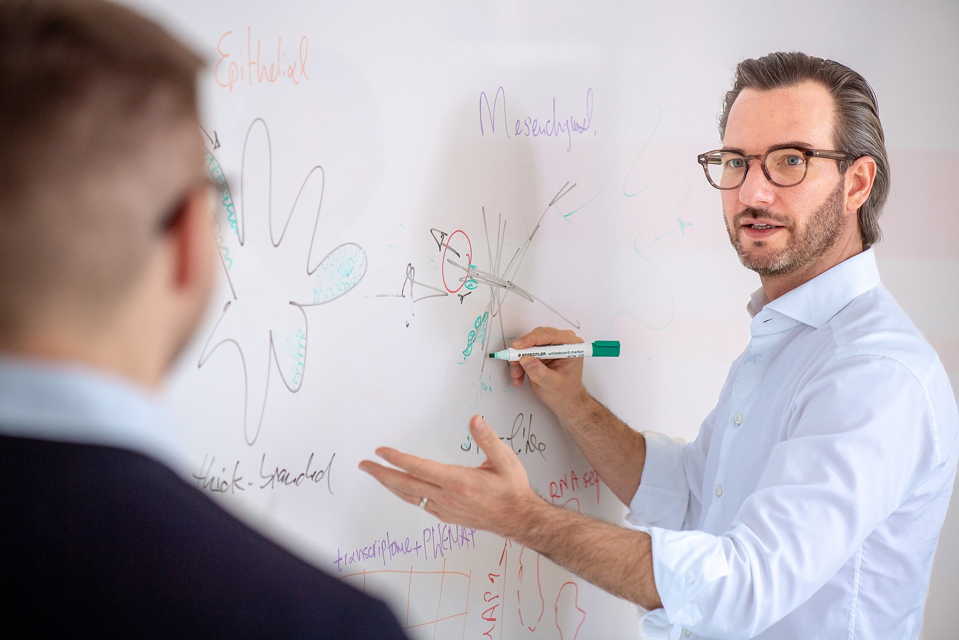 Prof. Maximilian Reichert und sein Team haben Organoide entwickelt, die erstmals ein großes Spektrum unterschiedlicher Strukturen und Eigenschaften von Bauchspeicheldrüsenkrebs abbilden. Damit arbeiten sie an Strategien für neue Therapien.