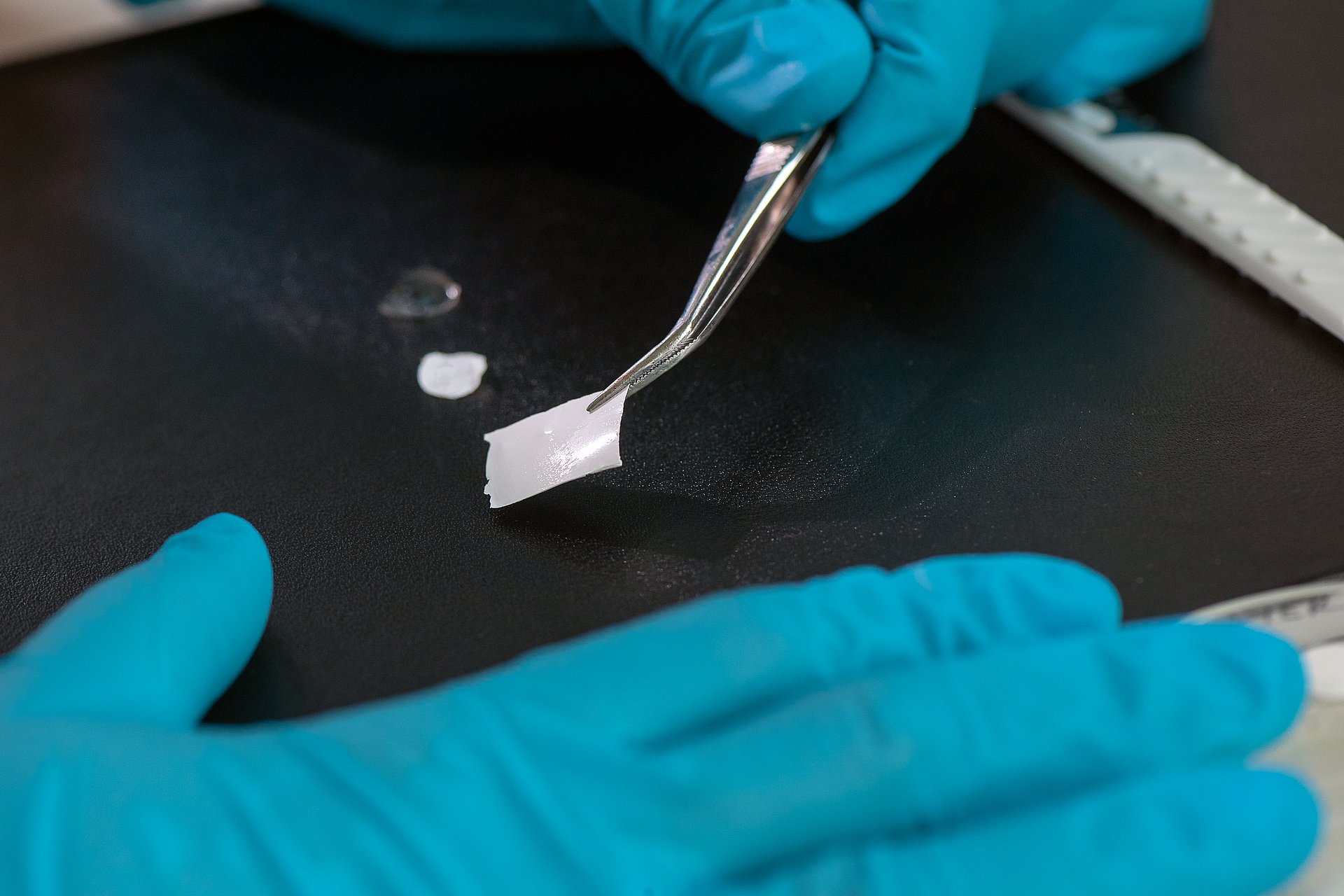 Wundheilungspflaster auf Mucin-Basis. Noch im Stadium eines Prototypen für Laborzwecke, ist es für zukünftig zum Beispiel für interne Anwendungen wie Wundverschluss vor dem Nähen vorgesehen.