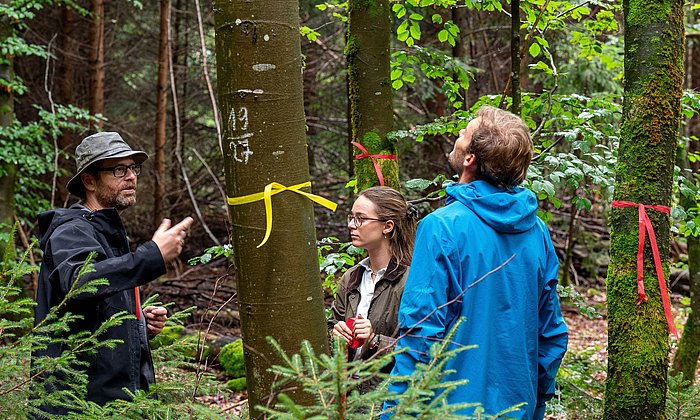 Forschende auf Waldexkursion