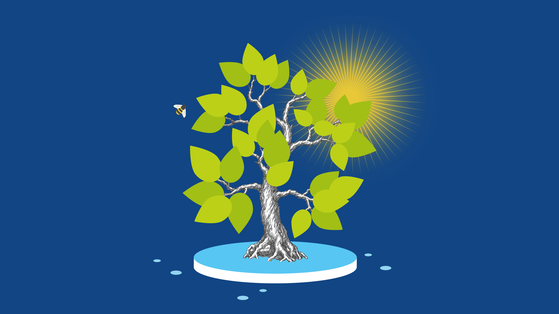 Illustrative image of photosynthesis with a tree in the sun