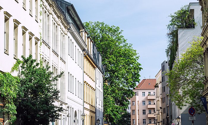 Bäume in einer dicht besiedelten Straße mit Mehrfamilienhäusern an einem sonnigen Tag.