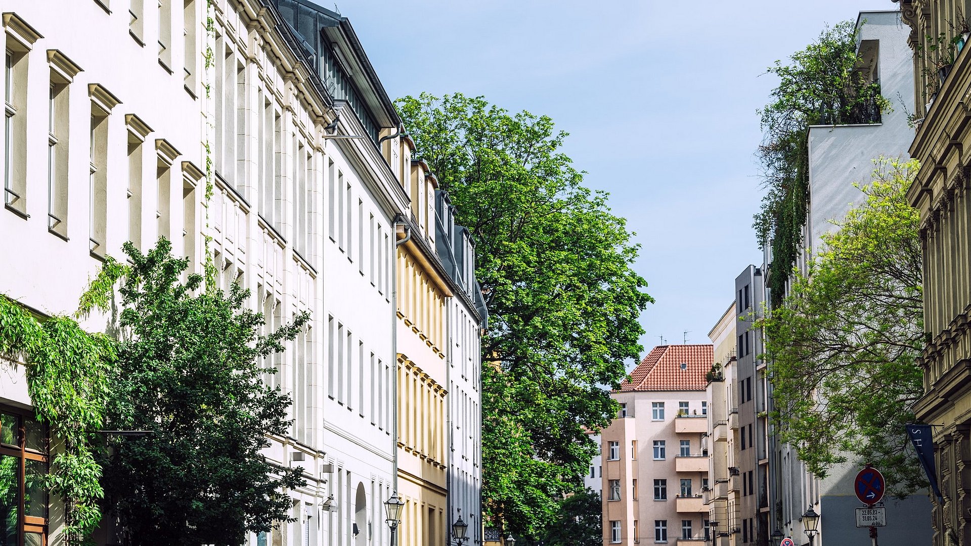 Bäume in einer dicht besiedelten Straße mit Mehrfamilienhäusern an einem sonnigen Tag.