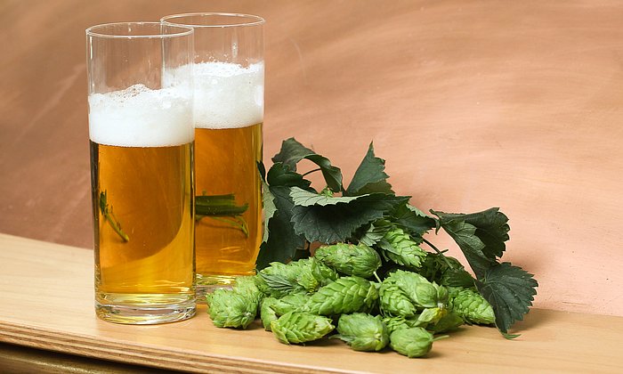 Trotz jahrhundertelanger Erfahrung sind immer noch nicht alle Geheimnisse des Bieres entschlüsselt. (Foto: Ritchie Herbert/TUM)