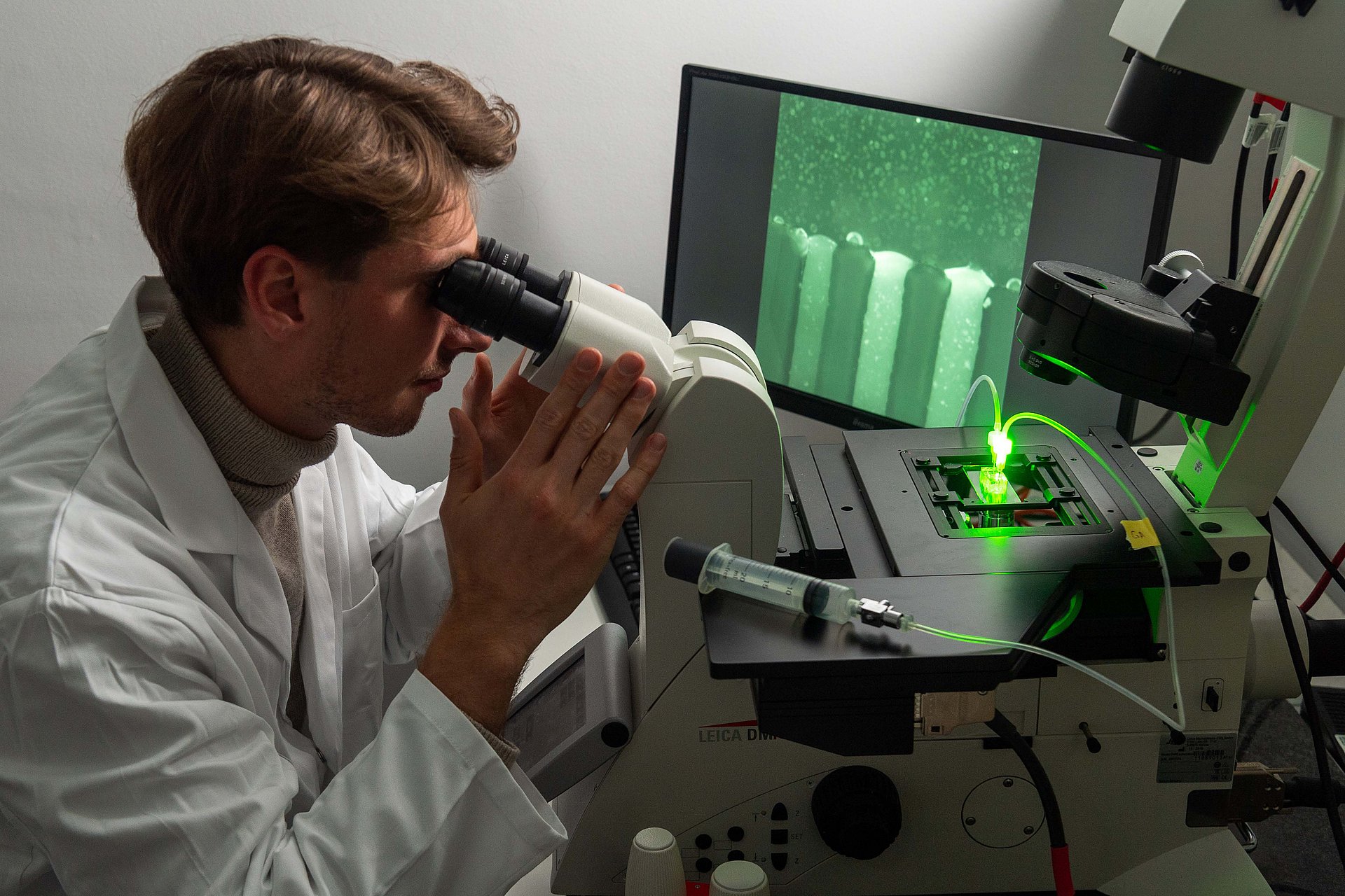 Forschende untersuchen Mucin-Grenzflächen mit einem Microfluidic-Chip. Grün fluoreszierende Nanopartikel dringen in das Mucin-Gel ein.