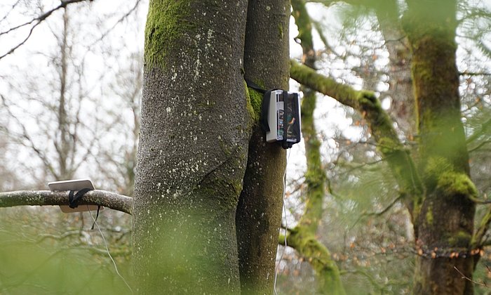 Bioakustiksensor von Hula Earth