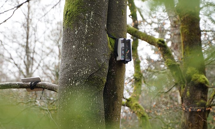 Bioacoustic sensor by Hula Earth