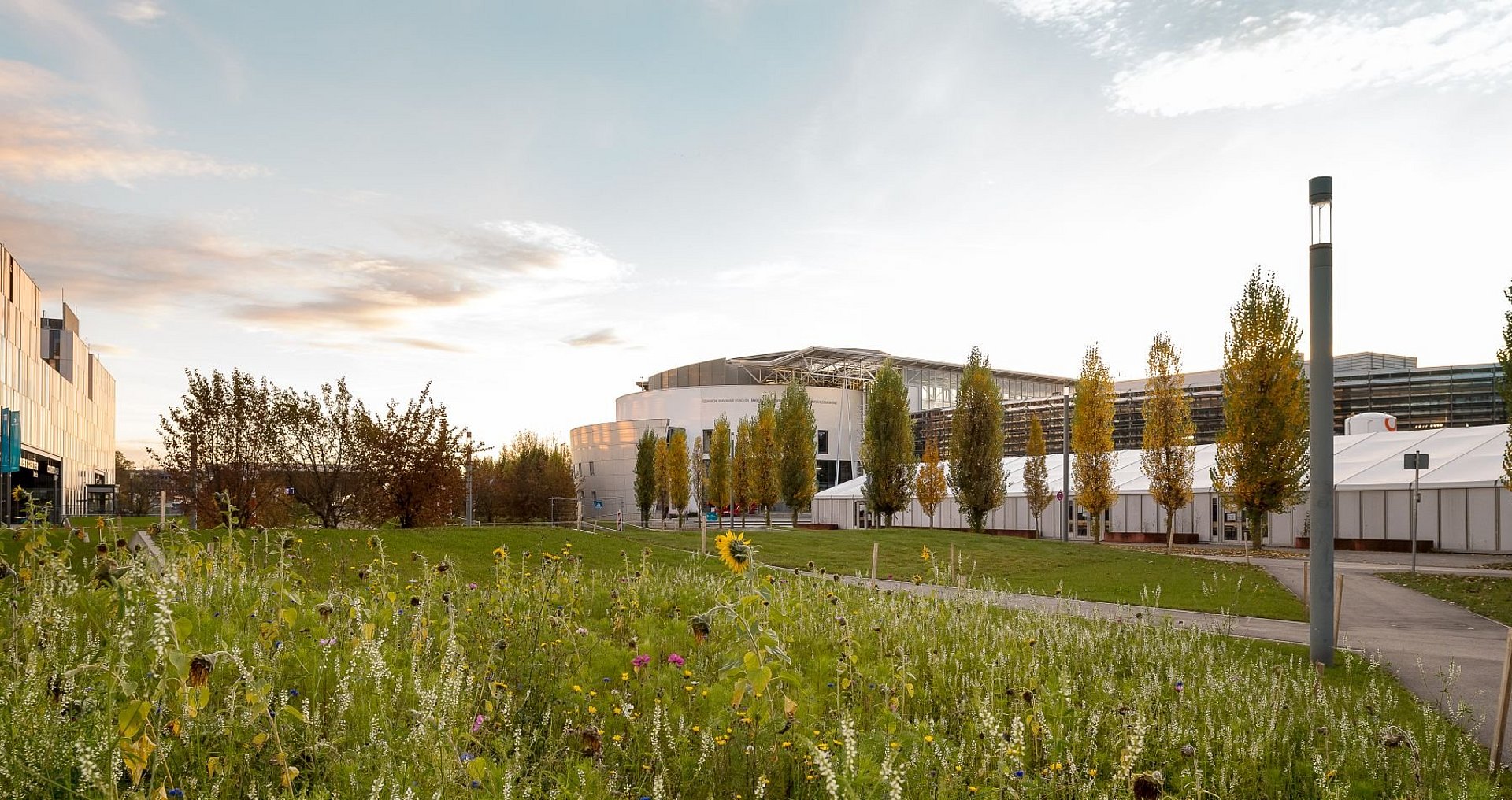 Flower meadow in front of the buildings at the TUM research campus in Garching.