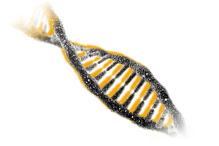 Symbolbild: DNA Doppelhelix