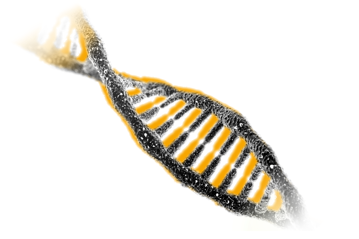Symbolic image: DNA double helix