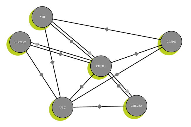 Protein interaction network - visualization using ProteomicsDB