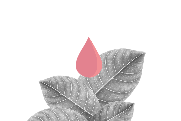 Blattgrün grafisch dargestellt mit einem rosafarbenen Blatt in der Mitte