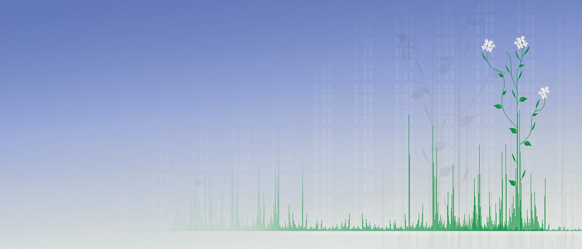 Graphic of a thale cress integrated in a bar chart.