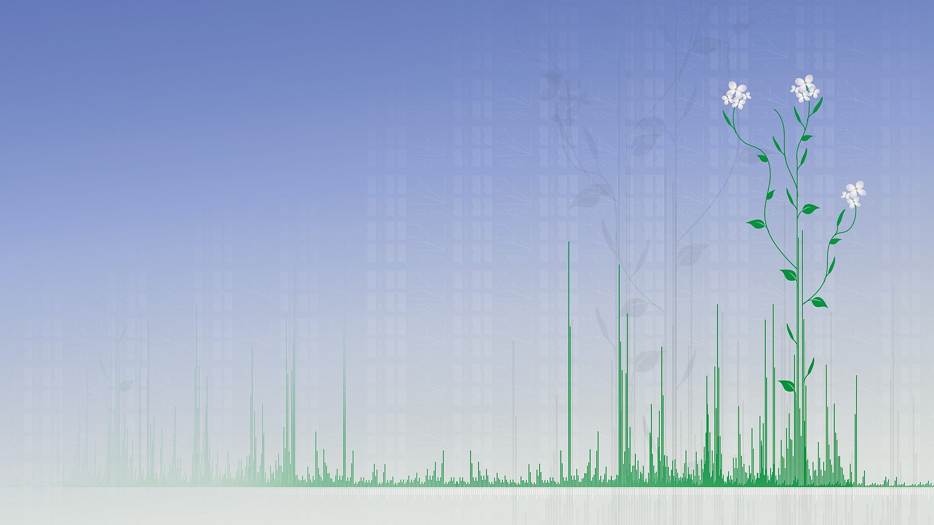 Grafik einer Ackerschmalwand integriert in ein Balkendiagramm.