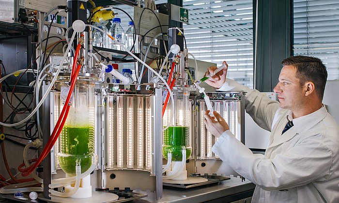 Prof. Thomas Brück taking samples at the photobioreactor at the Werner Siemens-Chair of Synthetic Biotechnology. The researchers used these bioreactors to produce biomass of the strains of cyanobacteria for the study. 