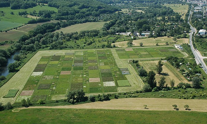 Das Jena Experiment beweist aufgrund seiner Breite erstmals, dass ein Verlust der Artenvielfalt negative Konsequenzen für viele einzelne Komponenten und Prozesse in Ökosystemen hat. (Foto: Das Jena Experiment)