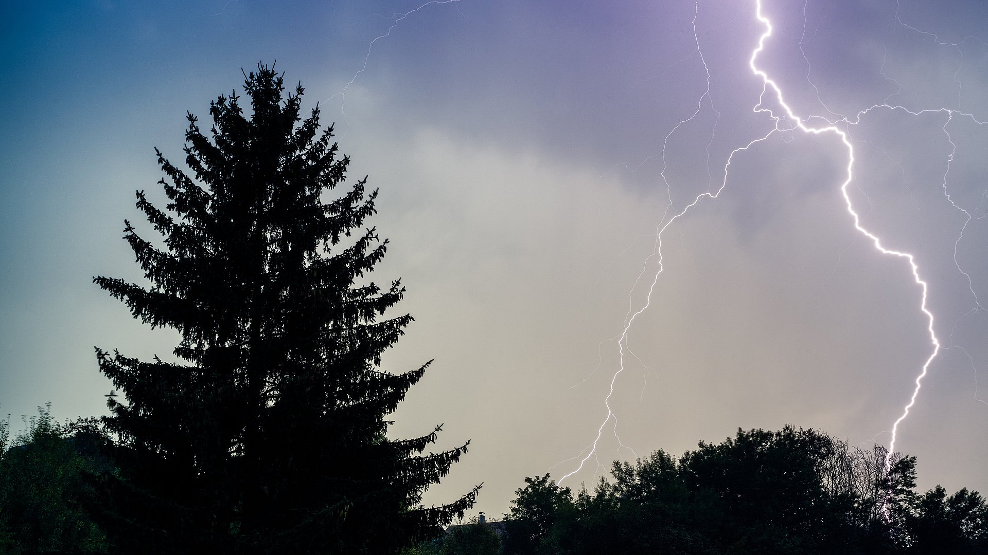 Blitze über Bäumen