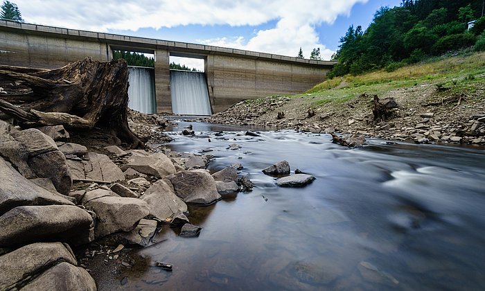 Was ist wichtiger: Naturschutz oder Klimaschutz? (Foto: Michael / fotolia)