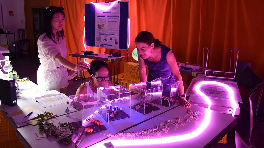 Set-up of the escape room game “Escape from Carbonia”