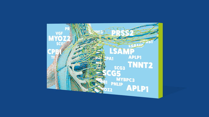 Grafische Darstellung einer ‚Protein-Landkarte' des menschlichen Körpers