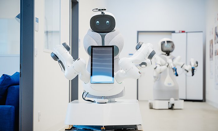 Assistenzroboter Garmi