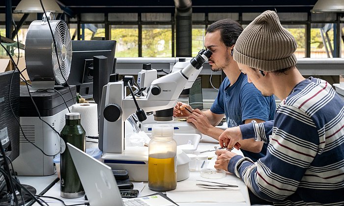 Start-up-Gründer im TUM Venture Lab Food / Agro / Biotech