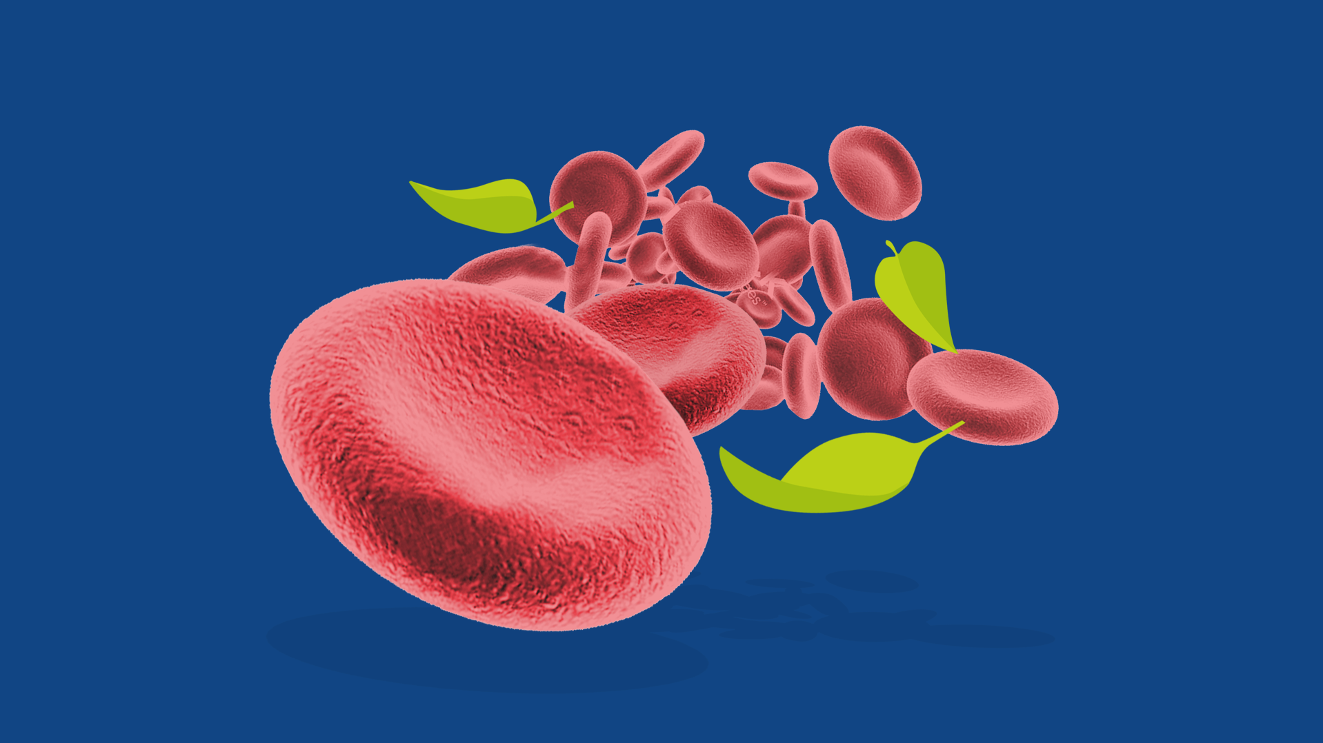 Collage showing red blood cells with leaves