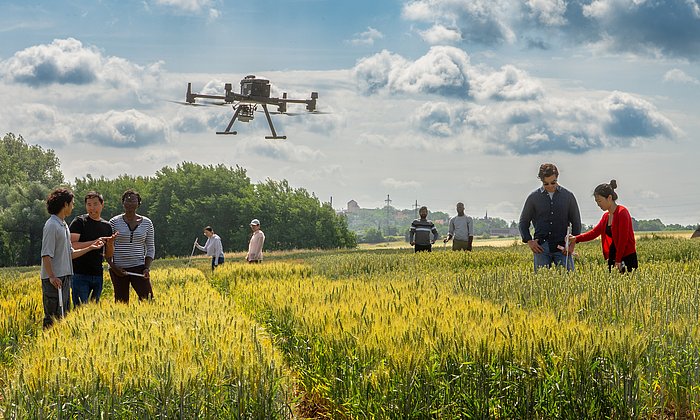 Forschende untersuchen ein Getreidefeld mit einer Drohne.