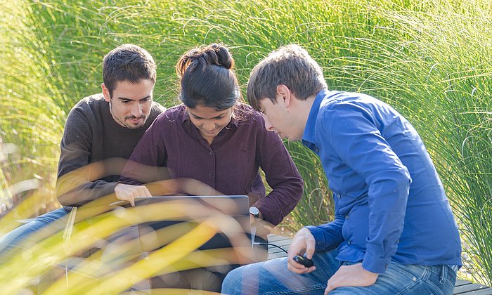 Three students, sitting amidst tall grasses, look together at a laptop screen