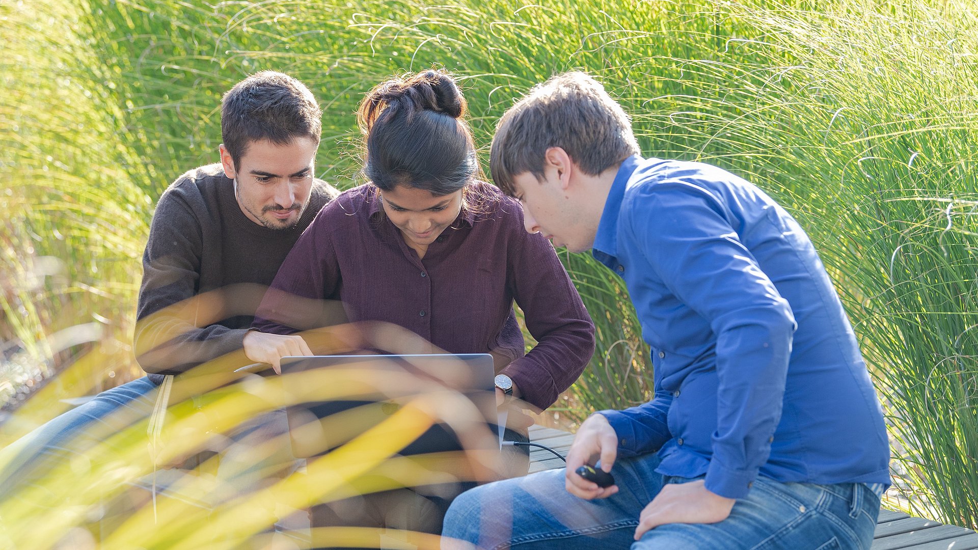 Drei Studierende, inmitten von hohen Gräsern sitzend, sehen zusammen auf einen Laptopbildschirm