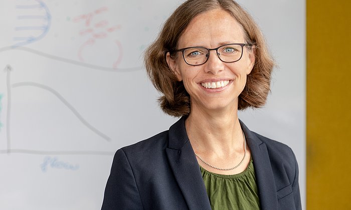 Prof. Karen Alim und ihr Team haben die Transportdynamik in porösen Medien untersucht.