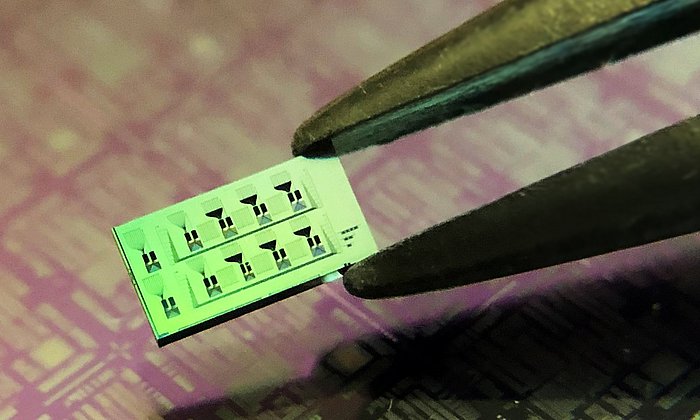 Siliziumchip (ca. 3 mm x 6 mm) mit mehreren Detektoren. Die feinen schwarzen Gravuren auf der Oberfläche des Chips sind die optischen Schaltkreise, die die Detektoren miteinander verbinden (mit bloßem Auge nicht sichtbar). Im Hintergrund eine größere optische Schaltung auf einem Siliziumplättchen.