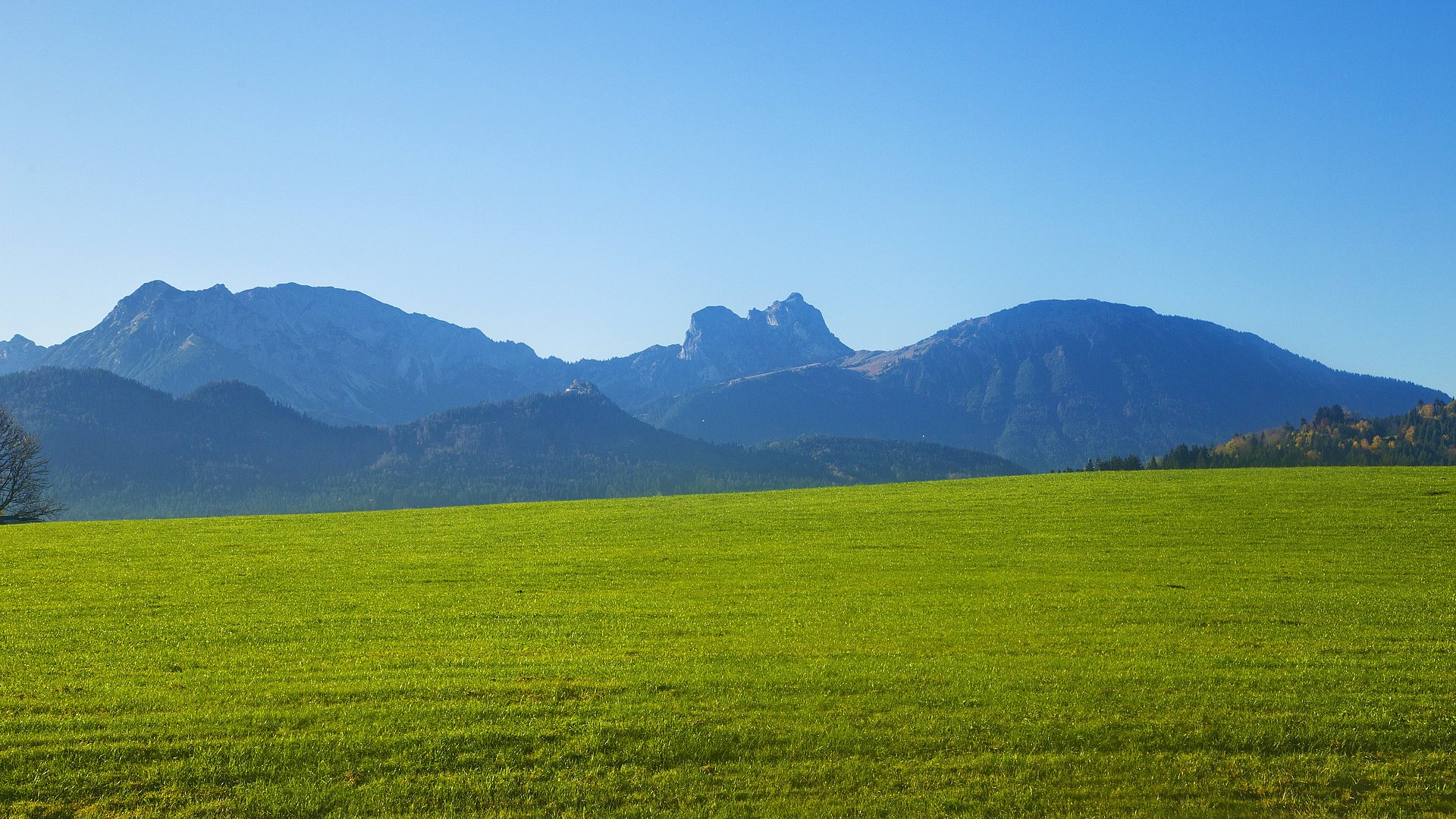 View of a meadow, mountains and blue sky in the background