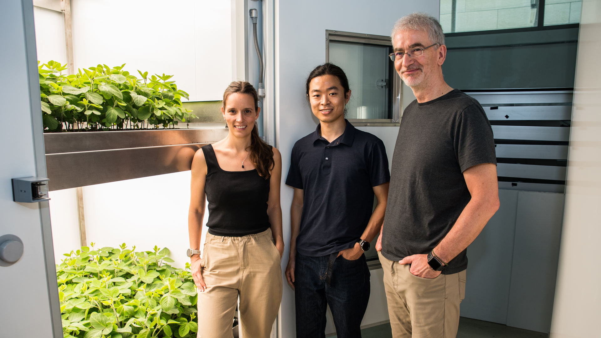 Three people are standing in front of a chamber in which soy plants are growing on two levels.