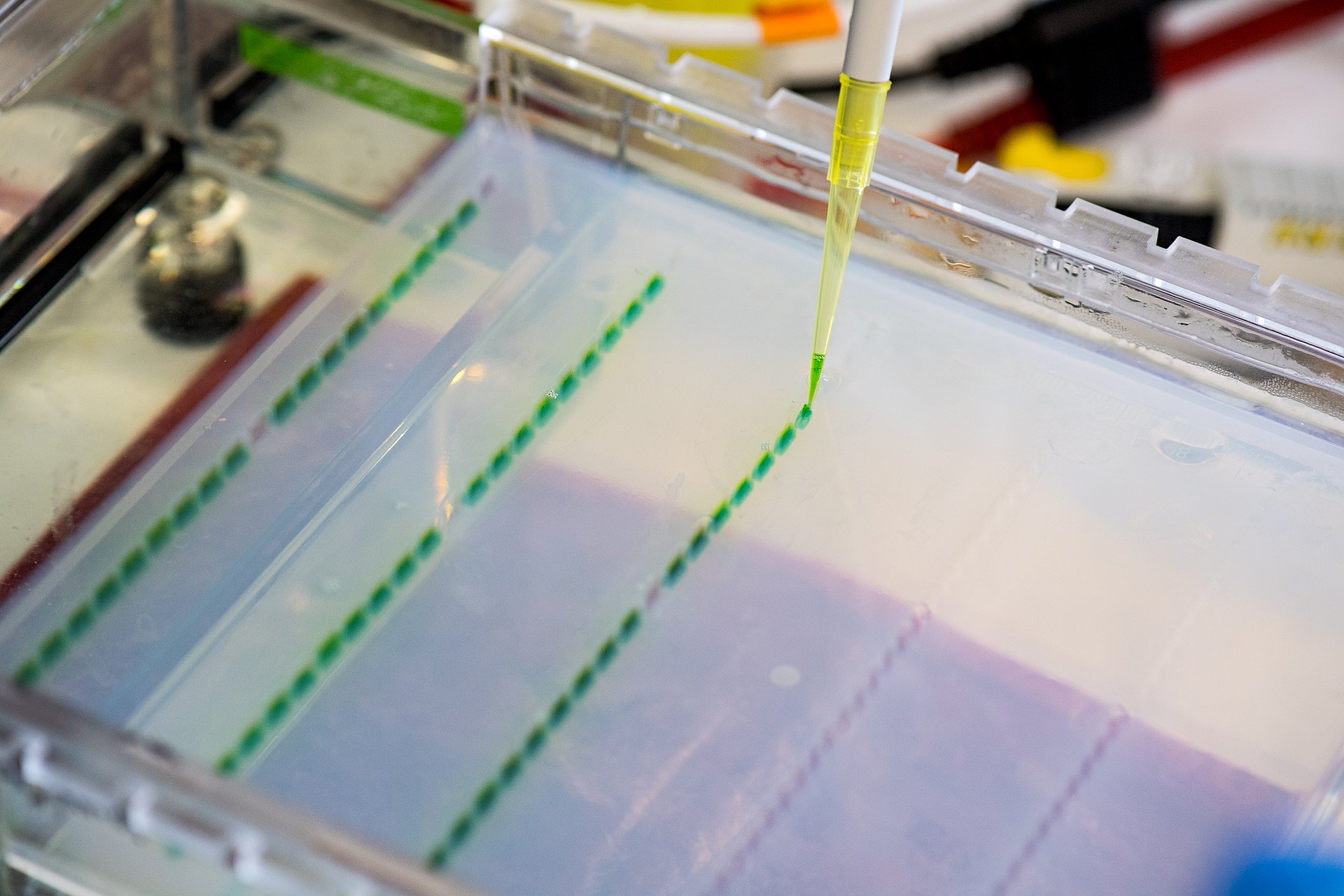 Labortätigkeit (Symbolbild): Entwicklung eines Impfstoffs am Institut für Virologie und am Helmholtz Zentrum München