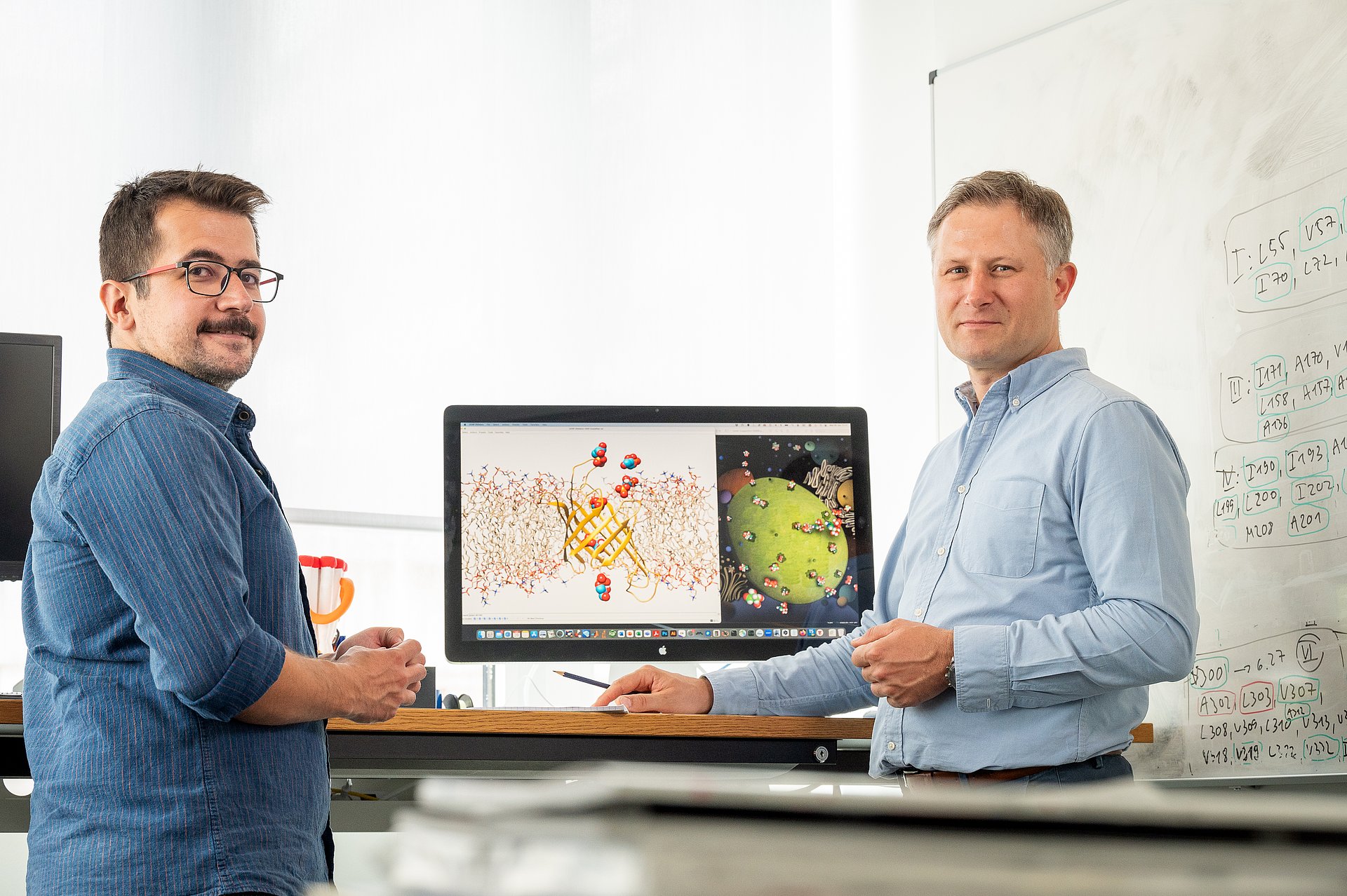 Prof. Franz Hagn and Dr. Umut Günsel in front of a structural model of the transport protein.