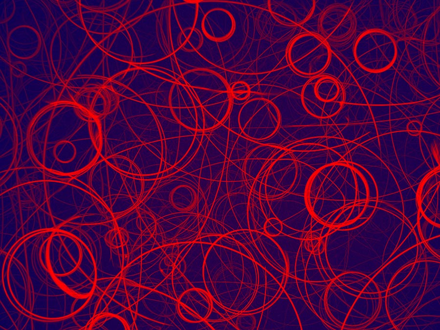 Fasern des Muskelproteins Aktin