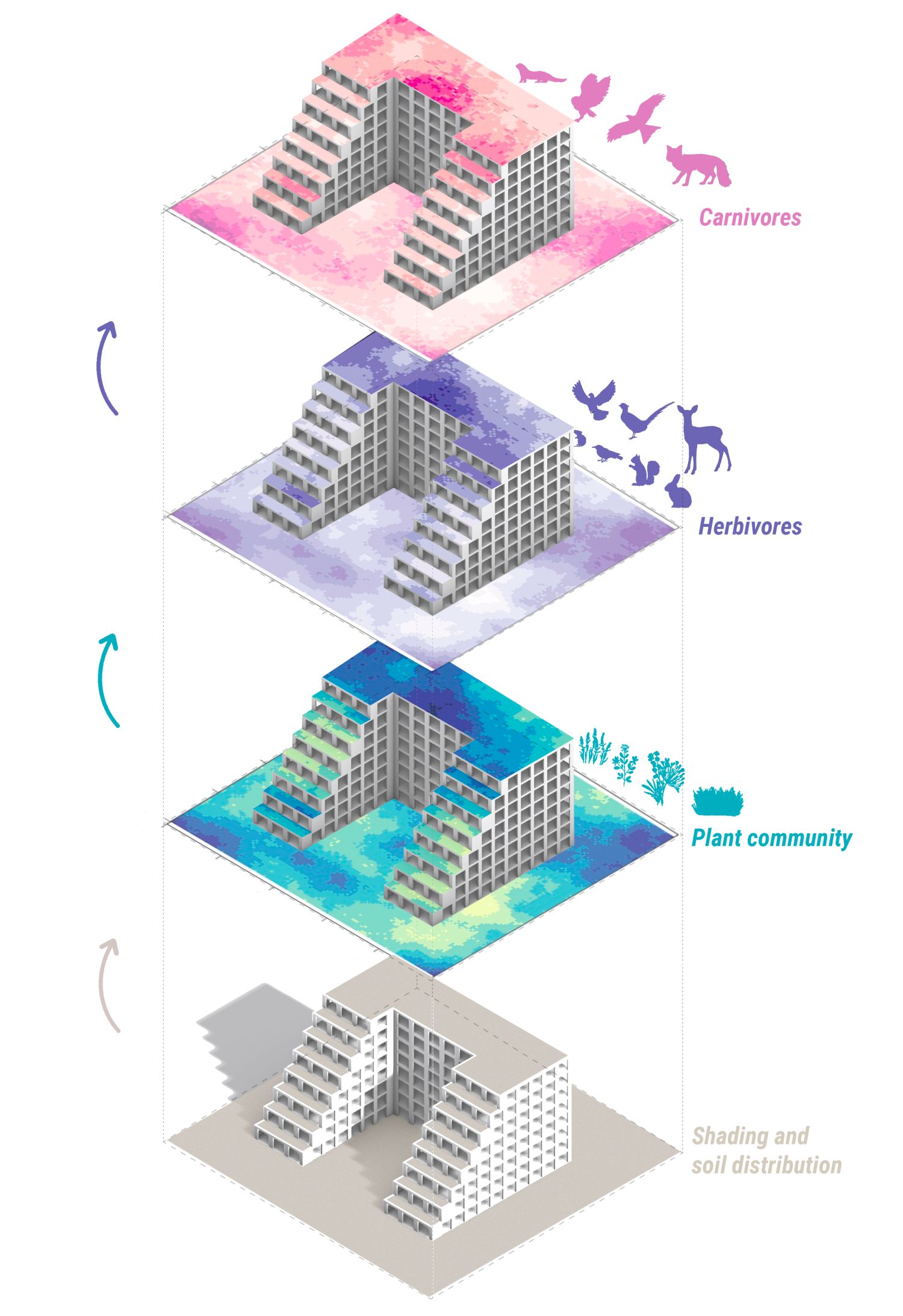 Das Bild zeigt eine konzeptionelle Karte, die aus mehreren Ebenen besteht und die aus der Analyse des ökologischen Modells resultiert. Diese Karte zeigt die Anzahl der Tiere und Pflanzen, die auf einem Gebäude leben.