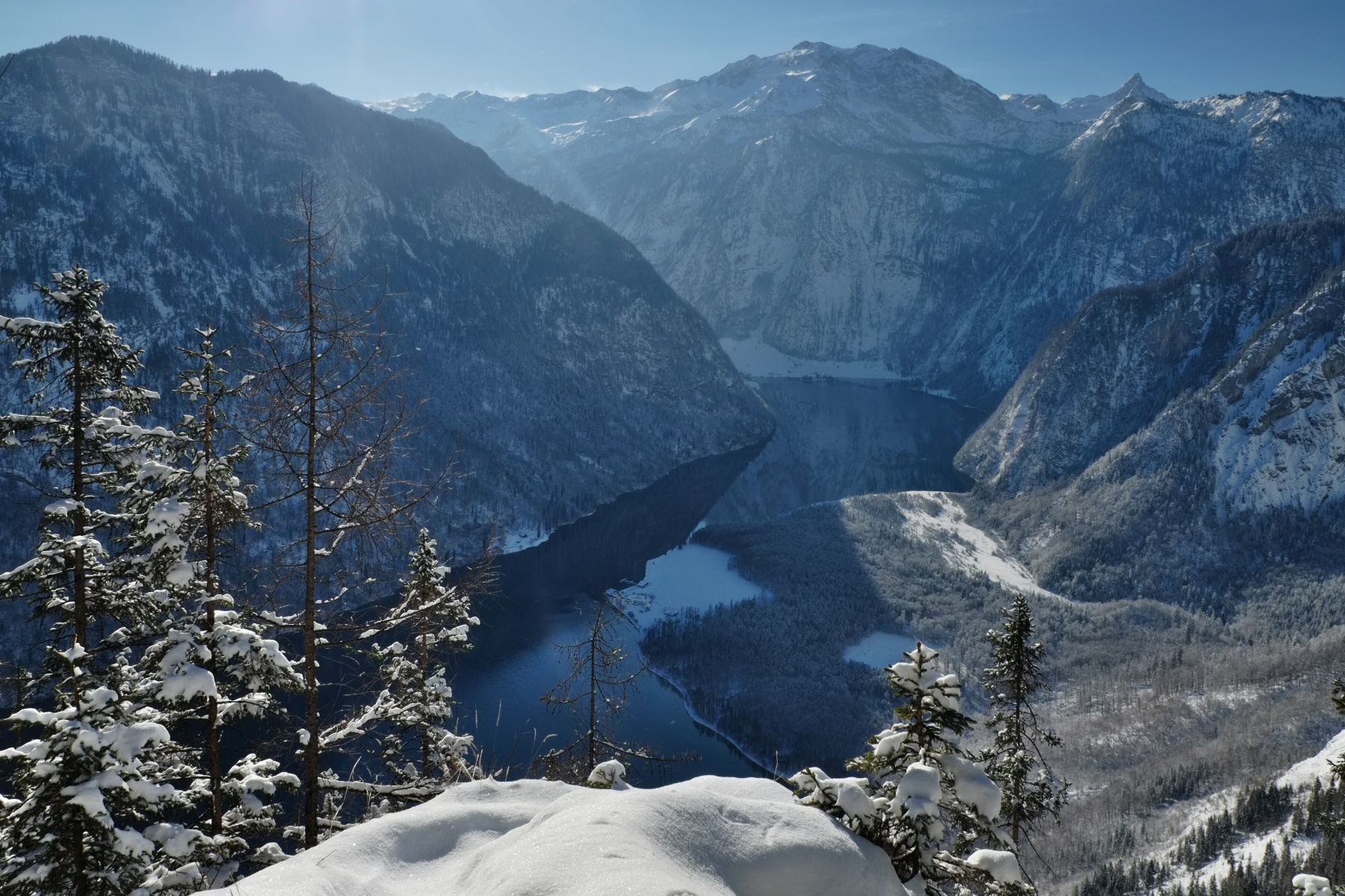 Blick auf den Königssee in Bayern im winterlichen Gebirge mit schneebedeckten Bäumen